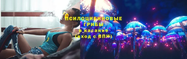 стаф Балахна