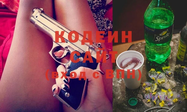 стаф Балахна