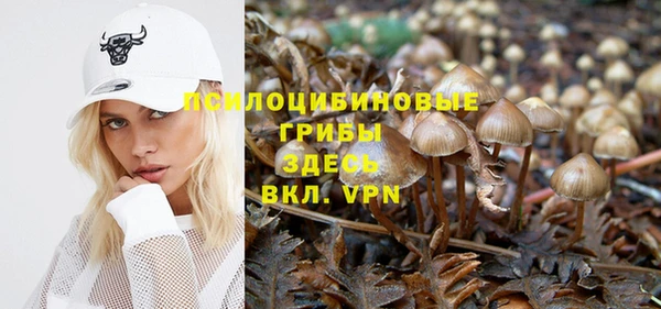 стаф Балахна