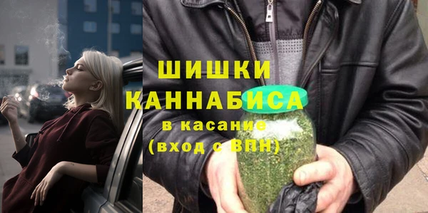 стаф Балахна