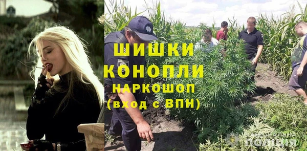 стаф Балахна