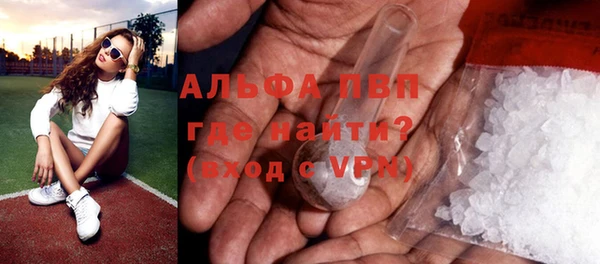 стаф Балахна