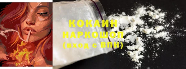 стаф Балахна