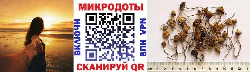 Псилоцибиновые грибы Cubensis KRAKEN ссылки Выкса